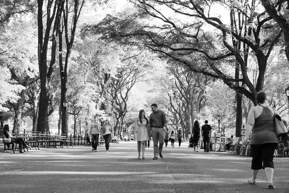 Danielle and Manny Central Park Engagement Photos